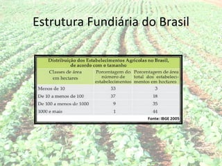 Estrutura Fundiária do Brasil
 