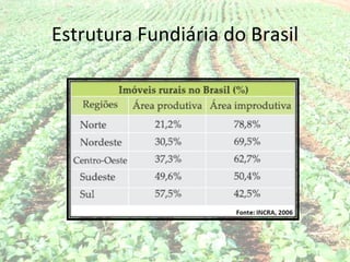 Estrutura Fundiária do Brasil
 
