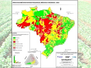 Agropecuária brasileira 