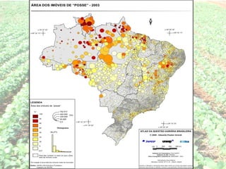 Agropecuária brasileira 