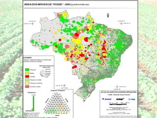 Agropecuária brasileira 