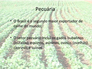 Pecuária

• O Brasil é o segundo maior exportador de
  carne do mundo;

• O setor pecuário inclui os gados bubalinos
  (búfalos), equinos, asininos, ovinos (ovelhas),
  caprinos e suínos.
 
