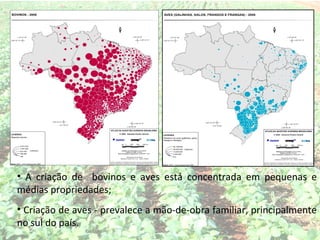 • A criação de bovinos e aves está concentrada em pequenas e
médias propriedades;
• Criação de aves - prevalece a mão-de-obra familiar, principalmente
no sul do país.
 
