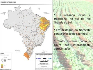 • O rebanho ovino é
tradicional no sul do Rio
Grande do Sul;

• Em destaque no Nordeste
para a criação de caprinos;

• Tanto a carne como o
couro são intensamente
aproveitados;
 