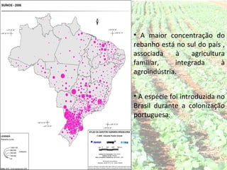 • A maior concentração do
rebanho está no sul do país ,
associada     à   agricultura
familiar,    integrada      à
agroindústria.


• A espécie foi introduzida no
Brasil durante a colonização
portuguesa;
 