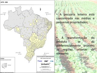 • A pecuária leiteira está
concentrada nas médias e
pequenas propriedades;



• A transformação do
produto        se      dá
preferencialmente próximo
as regiões urbanas de
consumo.
 
