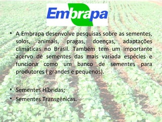 • A Embrapa desenvolve pesquisas sobre as sementes,
  solos, animais, pragas, doenças, adaptações
  climáticas no Brasil. Também tem um importante
  acervo de sementes das mais variada espécies e
  funciona como um banco de sementes para
  produtores ( grandes e pequenos).

• Sementes Híbridas;
• Sementes Transgênicas.
 