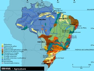 Agropecuária brasileira 