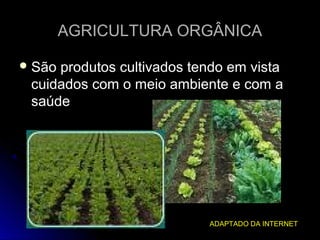 AGRICULTURA ORGÂNICA

 Sãoprodutos cultivados tendo em vista
 cuidados com o meio ambiente e com a
 saúde




                           ADAPTADO DA INTERNET
 
