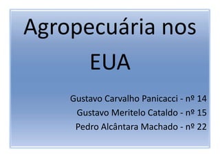 Agropecuária nosEUAGustavo Carvalho Panicacci- nº 14Gustavo MeriteloCataldo - nº 15Pedro Alcântara Machado - nº 22
