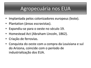 Agropecuária nos EUAImplantada pelos colonizadores europeus (leste).Plantation (áreas escravistas).Expandiu-se para o oeste no século 19.HomesteadAct (Abraham Lincoln, 1862).Criação de ferrovias.Conquista do oeste com a compra da Louisiana e sul do Arizona, coincide com o período de industrialização dos EUA.