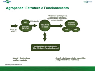 Agropensa: Estrutura e Funcionamento
Elaboração: Embrapa/Agropensa (2013).
 