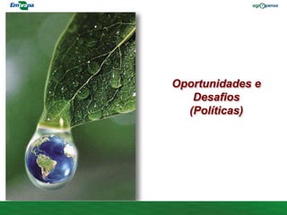 Oportunidades e
Desafios
(Políticas)
 