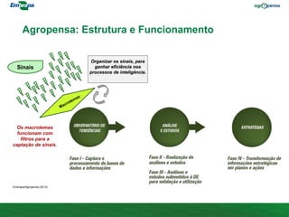 Sinais
Organizar os sinais, para
ganhar eficiência nos
processos de inteligência.
Os macrotemas
funcionam com
filtros para a
captação de sinais.
Agropensa: Estrutura e Funcionamento
Embrapa/Agropensa (2013).
 