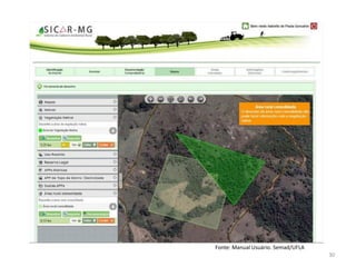 30
Fonte: Manual Usuário. Semad/UFLA
 