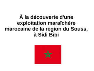 À la découverte d'une
exploitation maraîchère
marocaine de la région du Souss,
à Sidi Bibi
 