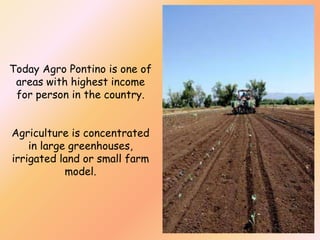 Today Agro Pontino is one of
areas with highest income
for person in the country.

Agriculture is concentrated
in large greenhouses,
irrigated land or small farm
model.

 