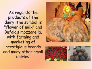 As regards the
products of the
dairy, the symbol is
"flower of milk" and
Bufala’s mozzarella,
with farming and
marketing of
prestigious brands
and many other small
dairies.

 