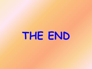 THE END

 