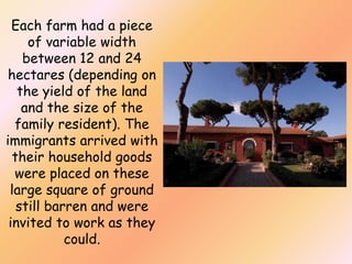 Each farm had a piece
of variable width
between 12 and 24
hectares (depending on
the yield of the land
and the size of the
family resident). The
immigrants arrived with
their household goods
were placed on these
large square of ground
still barren and were
invited to work as they
could.

 