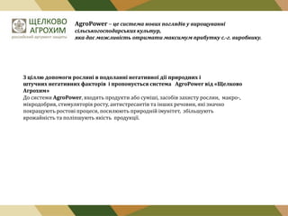 AgroPower – це система нових поглядів у вирощуванні
сільськогосподарських культур,
яка дає можливість отримати максимум прибутку с.-г. виробнику.

З ціллю допомоги рослині в подоланні негативної дії природних і
штучних негативних факторів і пропонується система AgroPower від «Щелково
Агрохим»
До системи AgroPower, входять продукти або суміші, засобів захисту рослин, макро-,
мікродобрив, стимуляторів росту, антистресантів та інших речовин, які значно
покращують ростові процеси, посилюють природній імунітет, збільшують
врожайність та поліпшують якість продукції.

 