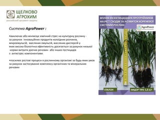 Система AgroPower :
•виключає або мінімізує хімічний стрес на культурну рослину за рахунок інноваційних продуктів колоїдних розчинів,
мікроемульсій, масляних емульсій, масляних дисперсій у
яких висока біологічна ефективність досягається за рахунок низької
норми витрати діючих речовин або інших пестицидів
з антистрес компонентами.
•посилює ростові процеси в рослинному організмі за будь-яких умов
за рахунок застосування комплексу органічних та мінеральних
речовин

 