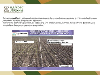 Система AgroPower надає додаткових можливостей с.-г. виробникам протягом всієї вегетації ефективно
управляти ростовими процесами в рослинах,
виключити або мінімізувати вплив на рослину будь-яких фізичних, хімічних та біологічних факторів, які
призводять до стресу в рослинному організмі.

 