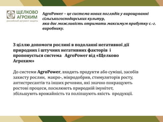 AgroPower – це система нових поглядів у вирощуванні
сільськогосподарських культур,
яка дає можливість отримати максимум прибутку с.-г.
виробнику.

З ціллю допомоги рослині в подоланні негативної дії
природних і штучних негативних факторів і
пропонується система AgroPower від «Щелково
Агрохим»
До системи AgroPower, входять продукти або суміші, засобів
захисту рослин, макро-, мікродобрив, стимуляторів росту,
антистресантів та інших речовин, які значно покращують
ростові процеси, посилюють природній імунітет,
збільшують врожайність та поліпшують якість продукції.

 