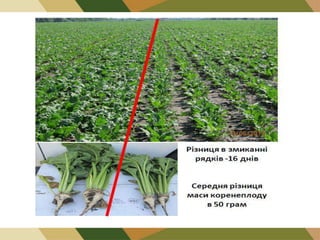 Agropowernew