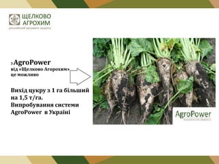 З

AgroPower

від «Щелково Агорохим»
це можливо

Вихід цукру з 1 га більший
на 1,5 т/га.
Випробування системи
AgroPower в Україні

 