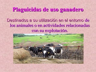 Plaguicidas de uso ganadero
Destinados a su utilización en el entorno de
 los animales o en actividades relacionadas
            con su explotación.
 