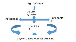 Agroquímicos


                  De uso
                  agrícola
Insecticidas                           Fertilizante
                                       s

                    Herbicida
                    s


          Cuyo uso debe reducirse de minino
 