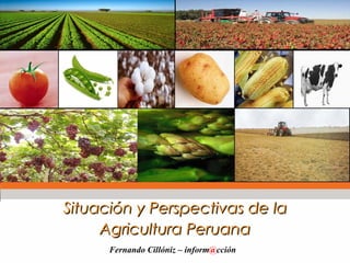 Situación y Perspectivas de la Agricultura Peruana Fernando Cillóniz – inform @ cción 