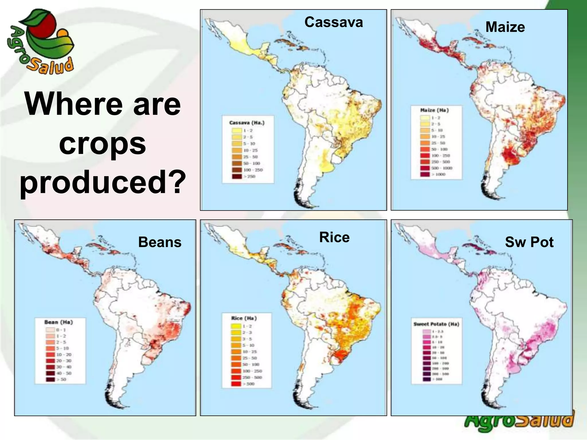 Where are
crops
produced?
Cassava Maize
Sw PotRiceBeans