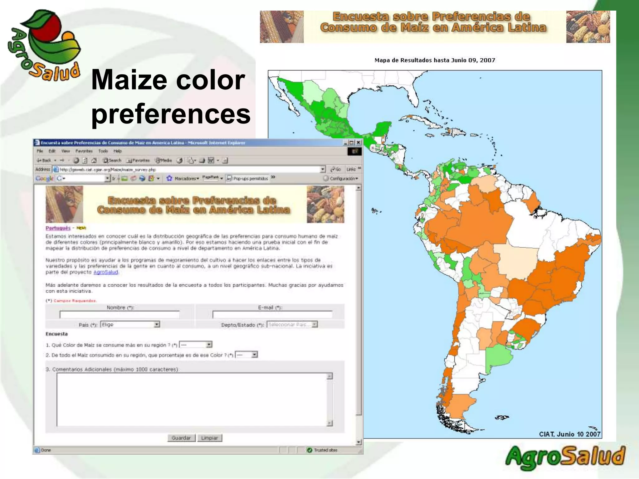 Maize color
preferencesMaize color
preferences