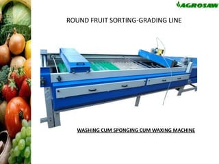 ROUND FRUIT SORTING-GRADING LINE

WASHING CUM SPONGING CUM WAXING MACHINE

 