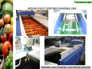 ROUND FRUIT SORTING-GRADING LINE

WASHING CUM SPONGING CUM WAXING MACHINE

 