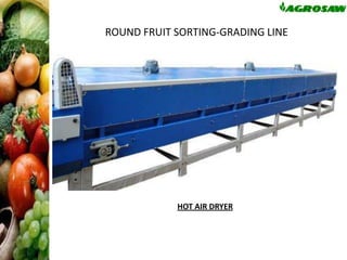 ROUND FRUIT SORTING-GRADING LINE

HOT AIR DRYER

 