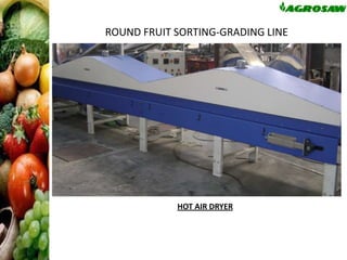 ROUND FRUIT SORTING-GRADING LINE

HOT AIR DRYER

 