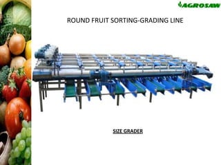 ROUND FRUIT SORTING-GRADING LINE

SIZE GRADER

 