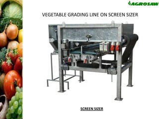VEGETABLE GRADING LINE ON SCREEN SIZER

SCREEN SIZER

 