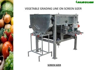VEGETABLE GRADING LINE ON SCREEN SIZER

SCREEN SIZER

 