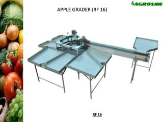 APPLE GRADER (RF 16)

RF 16

 