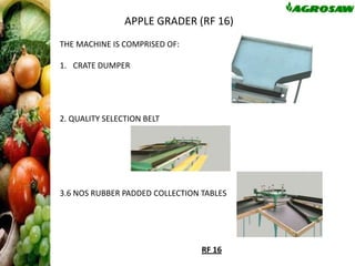APPLE GRADER (RF 16)
THE MACHINE IS COMPRISED OF:
1. CRATE DUMPER

2. QUALITY SELECTION BELT

3.6 NOS RUBBER PADDED COLLECTION TABLES

RF 16

 