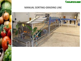 MANUAL SORTING-GRADING LINE

 