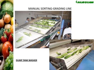 MANUAL SORTING-GRADING LINE

DUMP TANK WASHER

 