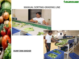 MANUAL SORTING-GRADING LINE

DUMP TANK WASHER

 
