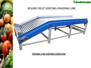 ROUND FRUIT SORTING-GRADING LINE

FEEDING CUM SORTING CONVEYOR

 