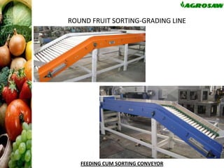 ROUND FRUIT SORTING-GRADING LINE

FEEDING CUM SORTING CONVEYOR

 