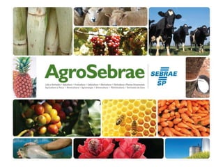 Programa AgroSebrae melhora a competitividade de produtores rurais